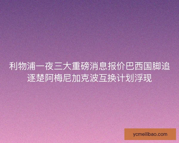 利物浦一夜三大重磅消息报价巴西国脚追逐楚阿梅尼加克波互换计划浮现